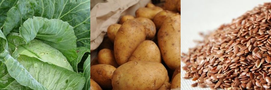 Weisskohl Kartoffel Leinsamen