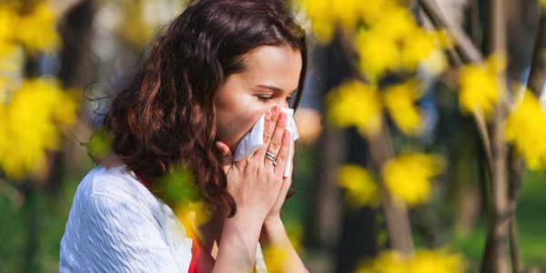 Pollen Homöopathie