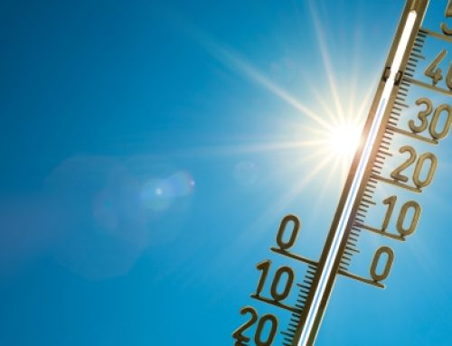 Sonnenbrand homöopathisch begleiten