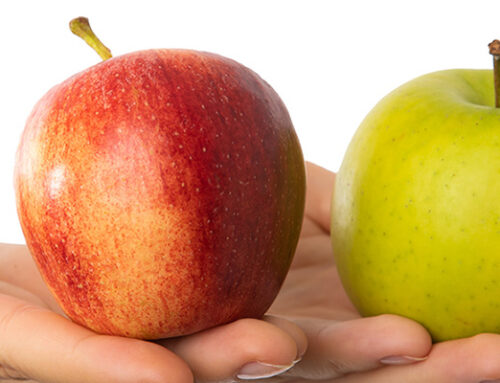 Repertorisation & Mittelwahl in der Homöopathie