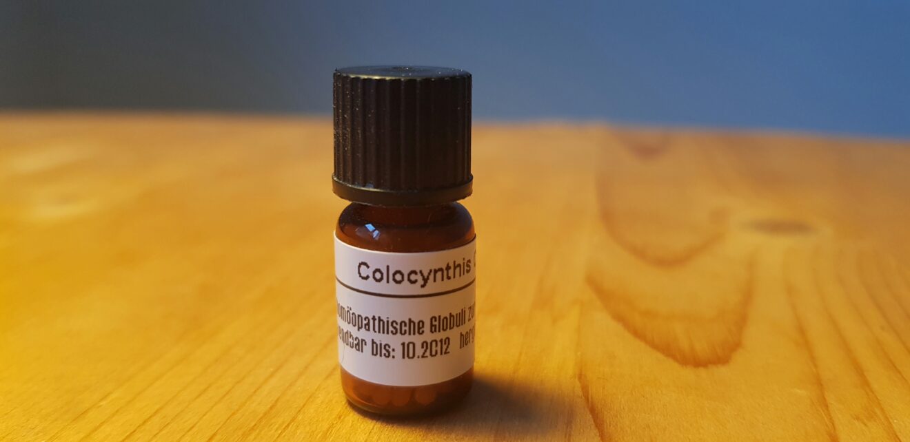 Colocynthis die Koloquinte