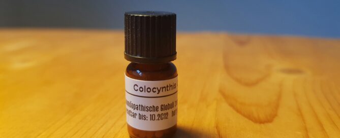 Colocynthis die Koloquinte
