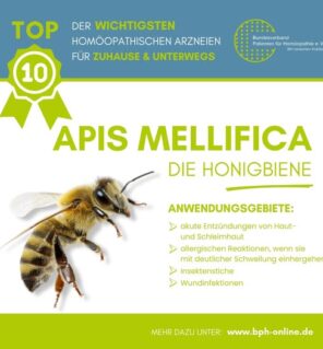 grafik-apis
