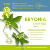 Bryonia Husten Bryonia Husten