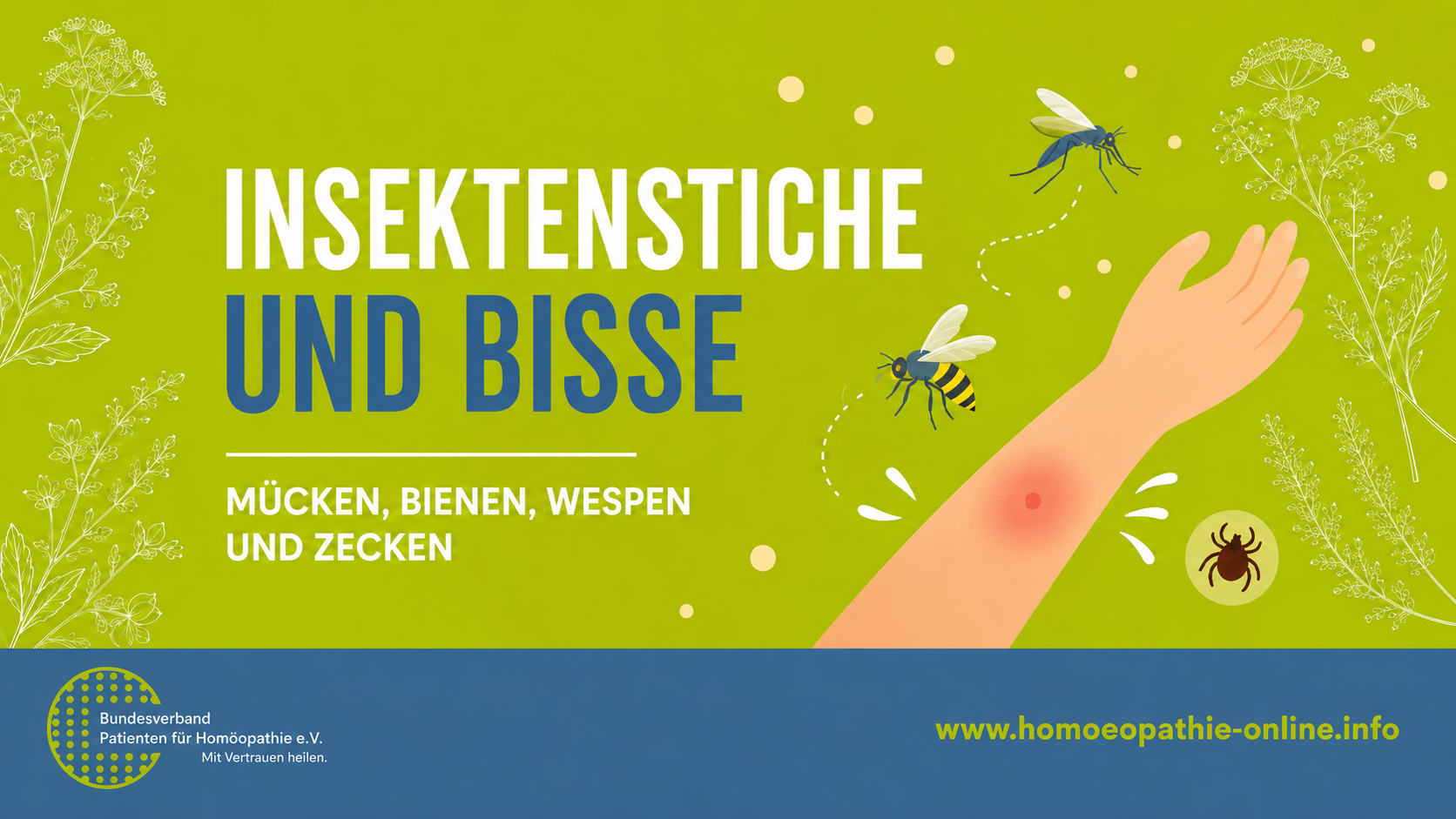 Insektenstiche-und-Bisse-homoeopathich-behandeln Insektenstiche und -Bisse homöopathisch behandeln