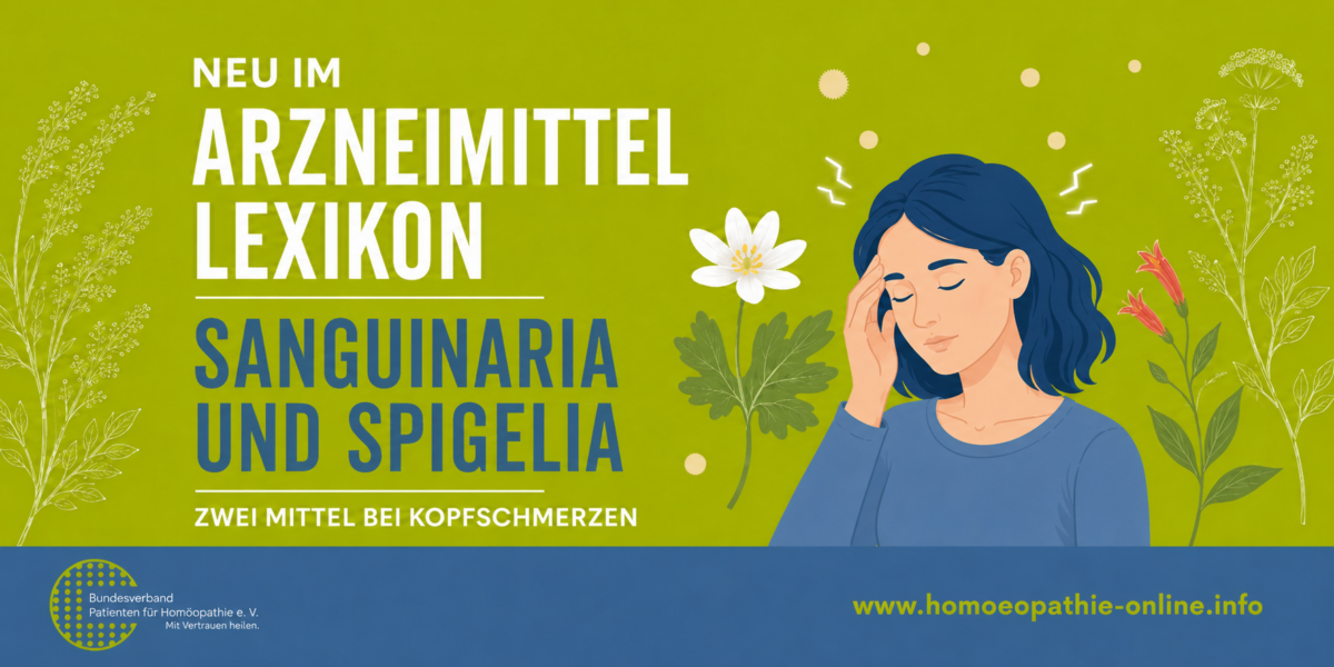 Mittel bei Kopfschmerzen: Sanginaria und Spigelia werden vorgestellt.
