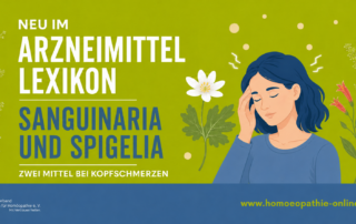 Mittel bei Kopfschmerzen: Sanginaria und Spigelia werden vorgestellt.